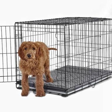 Jaula para  todo tipo de mascotas cachorros  o para Perros de varios tamaños disponible - 10/10