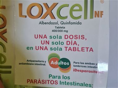 LOXCELL  DE ADULTO UNICA DOSIS 52435193 - Img main-image