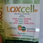 LOXCELL  DE ADULTO UNICA DOSIS 52435193 - Img 44991802