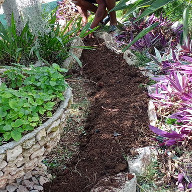 Servicio de jardinería - Img 119439288