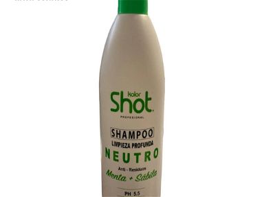 Shampoo anticaspa de limón.linea de shampoo y acondicionador de argán.matizador platino.matizadir rojo - Img 66584357