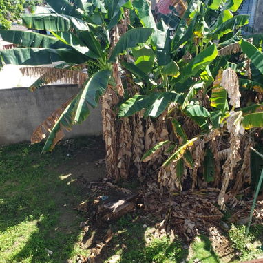 *$35.000usd CON AJUSTE. En venta  casa independiente de 2 pisos en El  Cerro, Reparto Martí. - 10/10