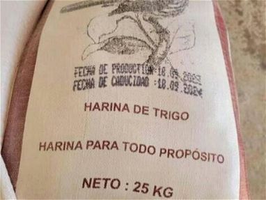 Contenedor de harina 1000 sacos 29 USD por saco tiene la orden de carga lista - Img main-image