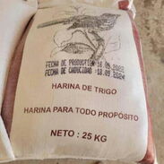 Contenedor de harina 1000 sacos 29 USD por saco tiene la orden de carga lista - Img 45618265