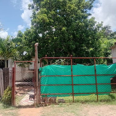 Casa en venta - 8/10