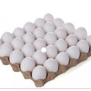 Vendo 5 cartones de huevos blancos recien importados - Img 45366221