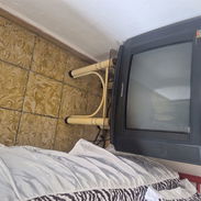Televisor panda - Img 55894442