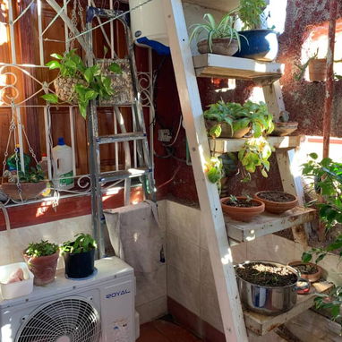 Se vende un preciosa propiedad en el Náutico con garaje y todo en perfecto estado!!!! - Img 97735717
