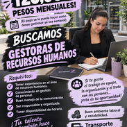 BUSCAMOS GESTORAS!!! - Img 58111133