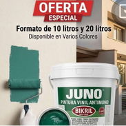 Pintura blanca etc - Img 55449764