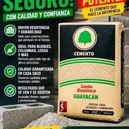 Cemento Guyacan p 350 - Img 56570003