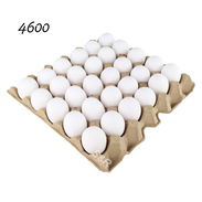 Carton de huevos - Img 57369734