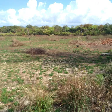 Terreno en playa tarara - Img 121498080