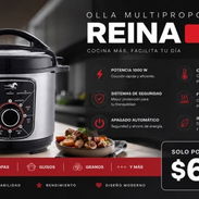 Olla reina multinacional 6 litros - Img 55818969