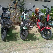 Bici MAF - Img 58048811