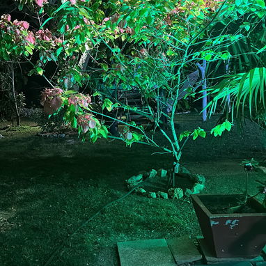 SE BUSCA SEÑORA O CHICA URGENTE - 4/10