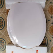 Asiento para inodoro - Img 56283532