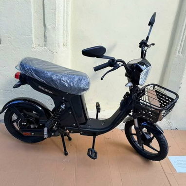 Bicimoto VEDCA S1, RALI ZP - 2/2
