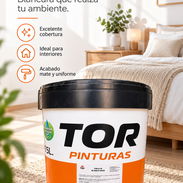🏠✨ RENUEVA TUS ESPACIOS CON UNA BUENA PINTURA BLANCA TOR-55 USD - Img 57898872
