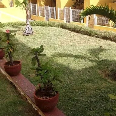Servicios de Jardinería y Limpieza de exteriores (trabajamos en la mayoría de los municipios) - Img 122417619