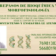 Repasos de Bioquímica y Morfofisiologia a domicilio - Img 45428578