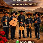 Oferta de Serenata Mariachi - Img 57774957