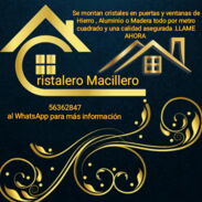 Cristalero macillero - Img 45531264