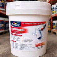 PINTURA VINIL ANTIMOHO PARA PAREDES EXTERIORES Y INTERIORES - Img 55775802