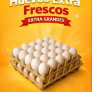 Contenedor de huevos - Img 55124056