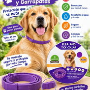 Collar Antipulgas y Garrapatas - Img 57715857