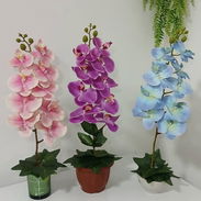 Orquídeas artificiales decorativas para salas - Img 55112843