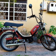 Venta de babetta - Img 56251217