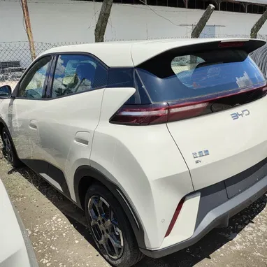 Vendo o negocio byd seagull eléctrico, 2026 con 430 km autonomía - Img 117424265