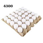 Huevos - Img 57562119