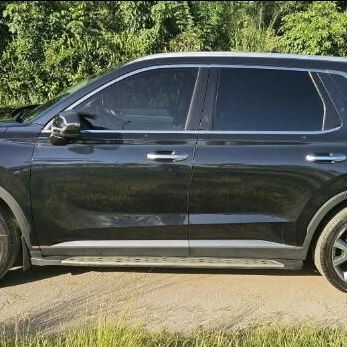 Hyunday Palisade límite 2020 - 5/6