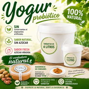 YOGURT PROBIÓTICO - Img 52924323