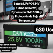 Batería LiFePO4 24V 100Ah (2560Wh) Dyness con BMS 100A y Protección de Baja Temperatura, Garantía de 1 mes, Entrega por - Img 56788428