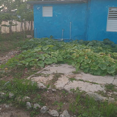 Venta de casa - Img 122598911