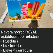 Nevera marca ROYAL exibidora tipo heladera • Rueditas • Luz interior  • Llave y cerradura  • 1 cesta plástica • Función - Img 55883442