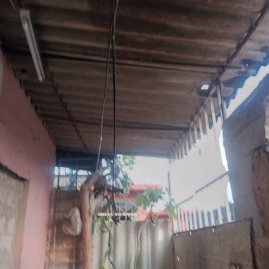 🏠 Casa en La Lisa-San Agustín,4/4   — Puerta calle — 6,500 USD (negociable) - Img 120989375