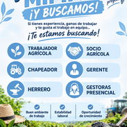 Se busca personal para trabajar en Mipime agrícola - Img 57646320
