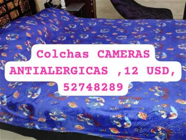 Colchas cameras antialergicas - Img 64532324
