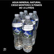 Agua Natural ciego Montero 1.5 litros, 5 litros y 500ml en venta mayorista con factura incluido. - Img 57307942