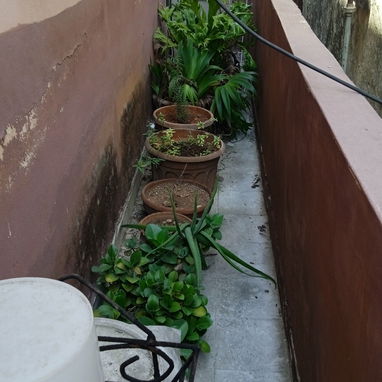 Vendo casa (biplanta ) se vende la planta alta. - Img 118369536