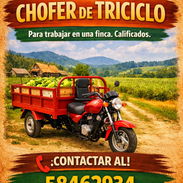 Oferta de empleo - Img 58083725