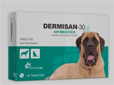 Ketoconazol para perros entre 15 y 30 kg - Img main-image