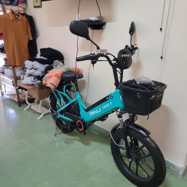 Bicicleta eléctrica - 4/4