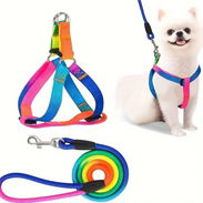 Arnés con correa para perros chiquitos. Cómodo, seguro y con un diseño de arcoíris muy llamativo. - Img 55877004