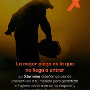 Empresa especializada en el control y exterminación de plagas - Img 56213844