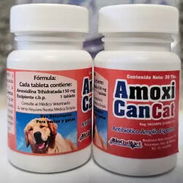 AMOXICILINA (AMOXICANCAT) - Img 53953695